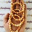 Conch Shell Bracelets - 8mm