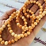 Conch Shell Bracelets - 8mm