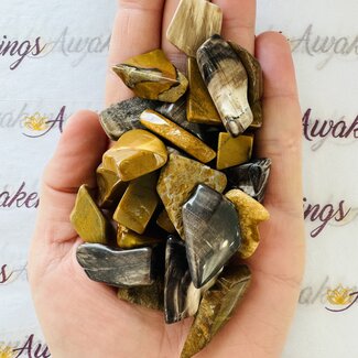Coromandel Stonewood - Tumbled