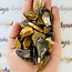 Coromandel Stonewood - Tumbled