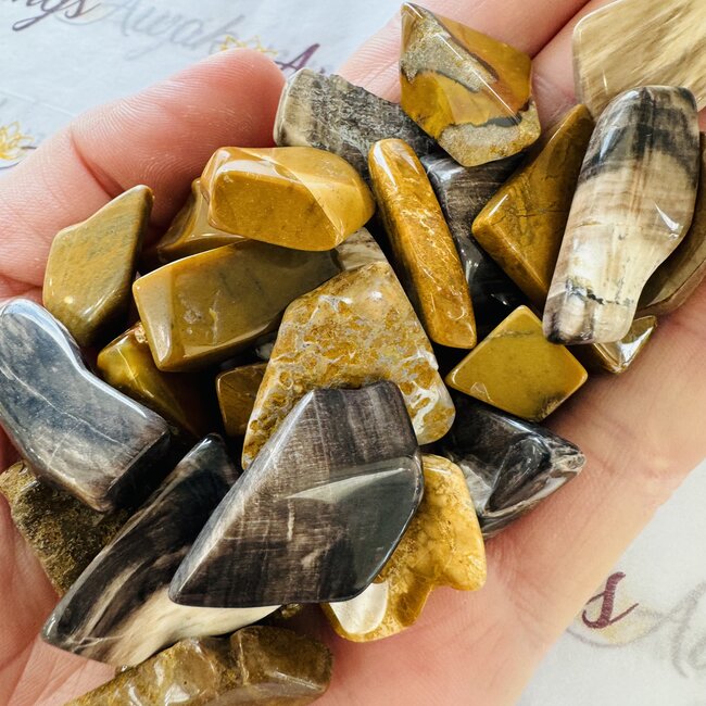 Coromandel Stonewood - Tumbled