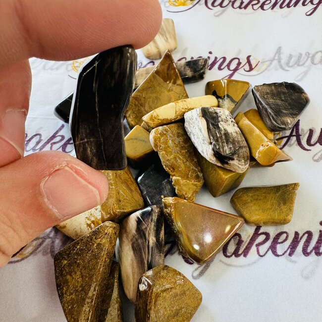 Coromandel Stonewood - Tumbled