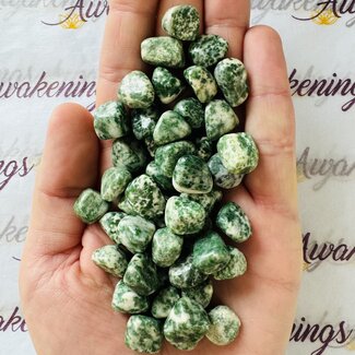 Templestone (Qinghai Jade) - Tumbled