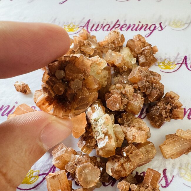 Star Aragonite Clusters -  Medium Rough Raw Natural