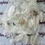 Fadden Faden Quartz Points - Small - Medium Rough Raw Natural