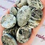 Blue Opal Worry Stone -Medium Oval