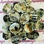 Blue Opal Worry Stone -Medium Oval