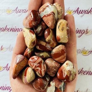 Rainbow Red Jasper - Tumbled