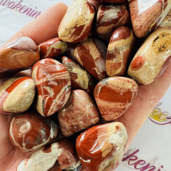 Rainbow Red Jasper - Tumbled