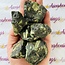 Chrysanthemum (Flower) Stone - Rough Raw Natural