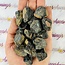 Augite - Rough Raw Natural