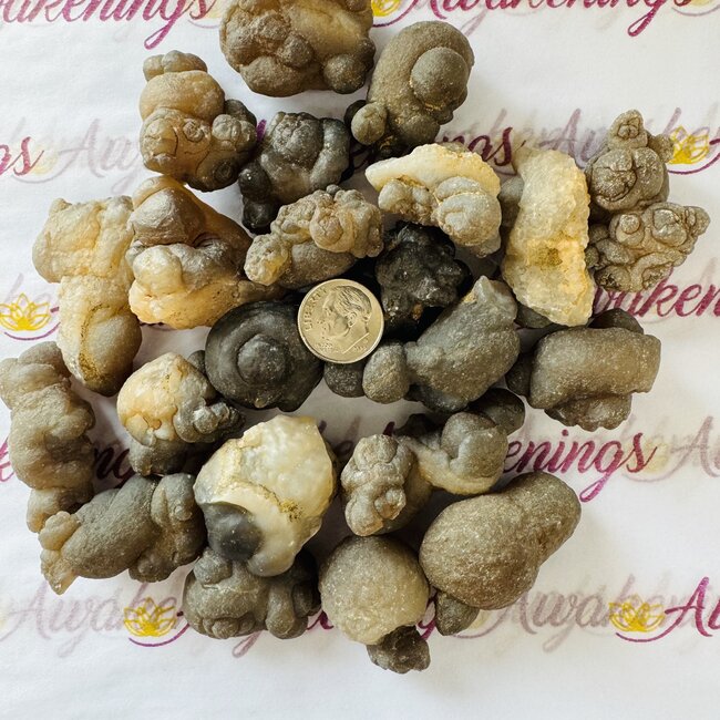 Botryoidal Chalcedony-Medium Rough Raw Natural