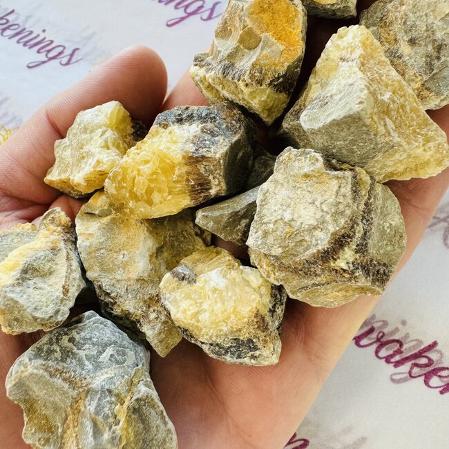 Septarian Jasper (Dragon Stone) - Rough Raw Natural