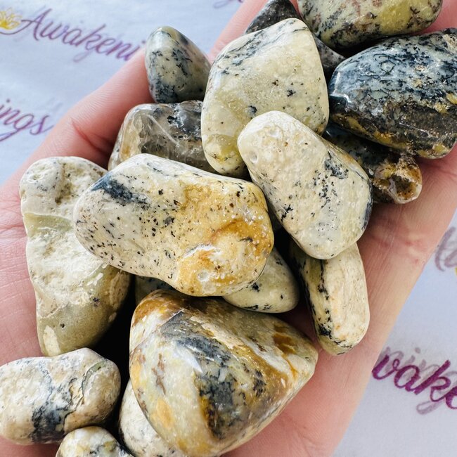 Dendritic Dendrite Opal - Tumbled