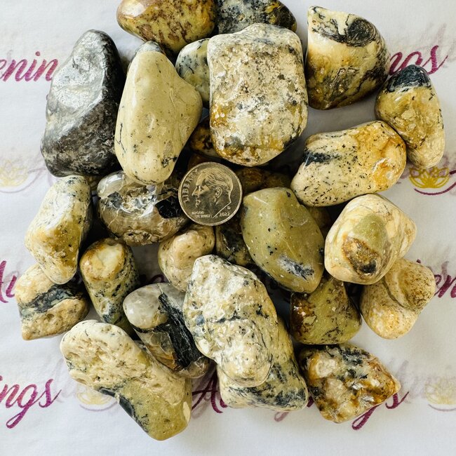 Dendritic Dendrite Opal - Tumbled