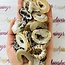 Ocos Agate - Slices Rough Raw Natural