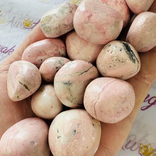 Rhodonite (Peruvian Pink) - Large Tumbled