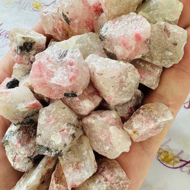 Rhodonite in Quartz-Rough Raw Natural