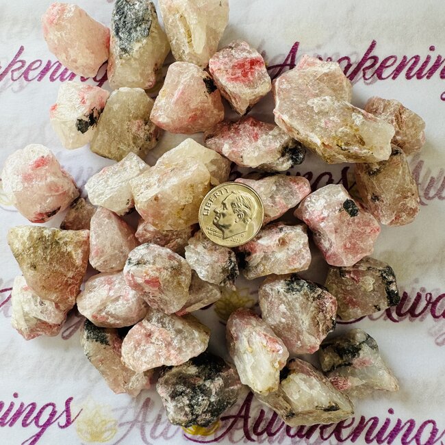 Rhodonite in Quartz-Rough Raw Natural