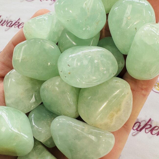 Prehnite (AA Grade) XL - Tumbled