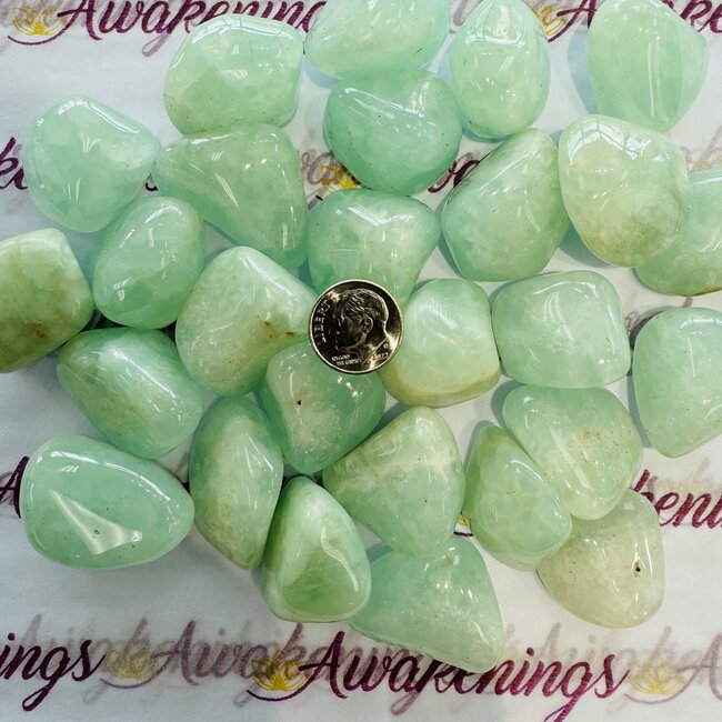 Prehnite (AA Grade) XL - Tumbled