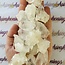 Apophyllite Cluster-Small Rough Raw Natural