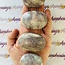 Pink Ruby Red (Rubellite) Tourmaline in Lepidolite (Unicorn Stone) Palm Pillow Pocket Stone