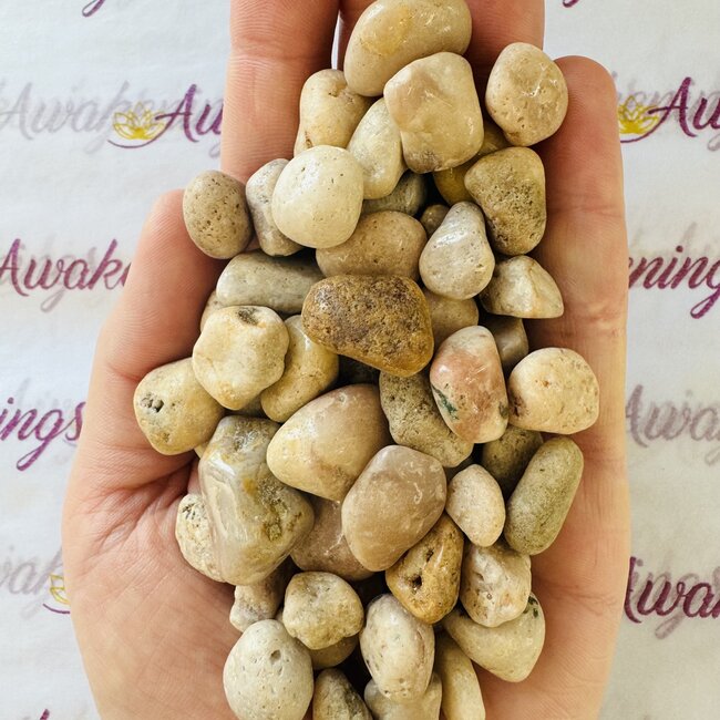 Pink Amethyst - Tumbled Small