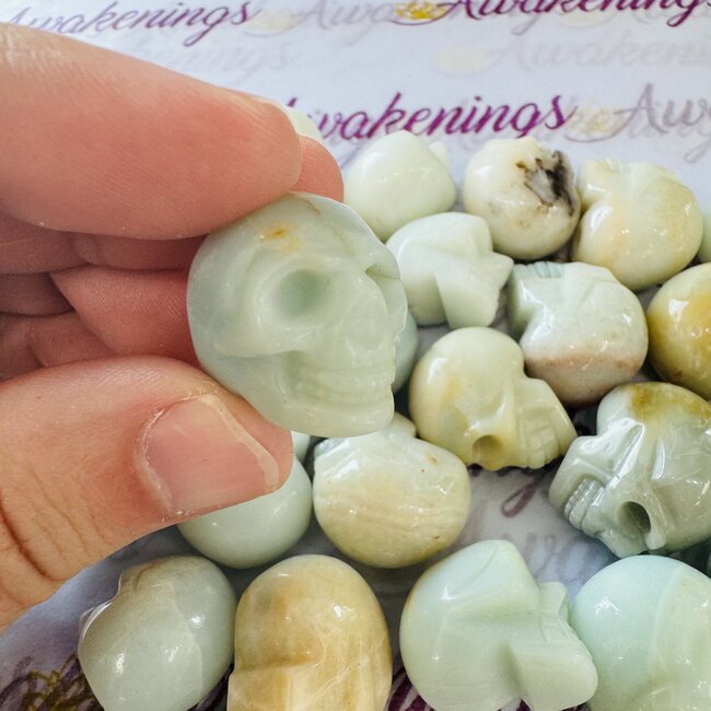 Caribbean Blue Calcite Skulls - Mini