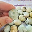 Caribbean Blue Calcite Skulls - Mini