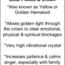 Golden Healer (Yellow Hematoid) Pendant - Tumbled