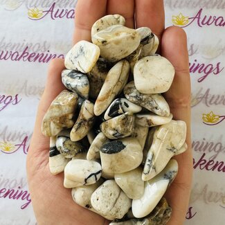 Cassiterite in Quartz - Tumbled Smooth