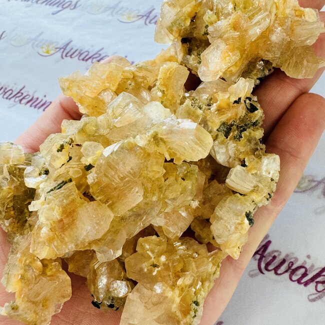 Gold Apophyllite Clusters - Rough Raw Natural Medium
