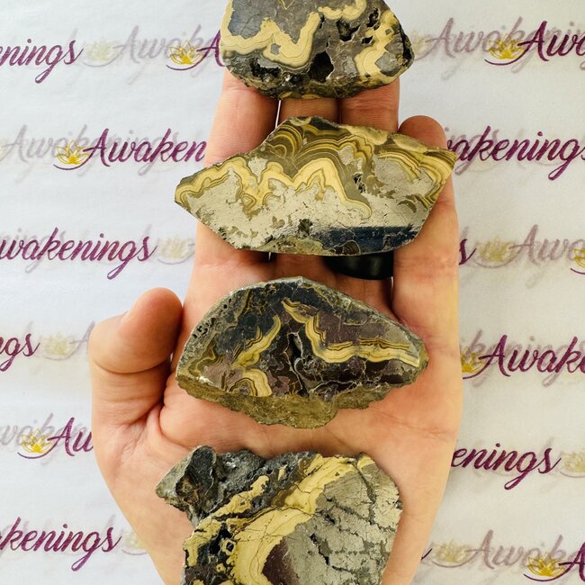 Schalenblende - Slices Slabs Flats (Galena Wurtzite Sphalerite Pyrite & Marcasite)