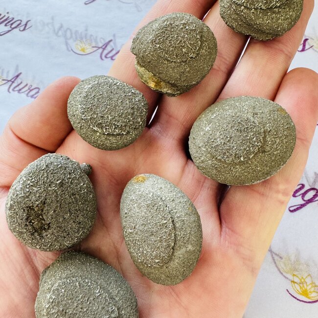 Pyrite Buttons - Natural Rough Raw