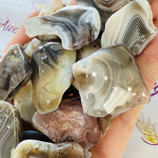 Botswana Agate Slice - Mini Slab Flat