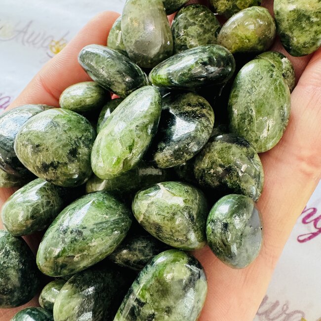 Chrome Diopside - Tumbled (AA Grade) Smooth