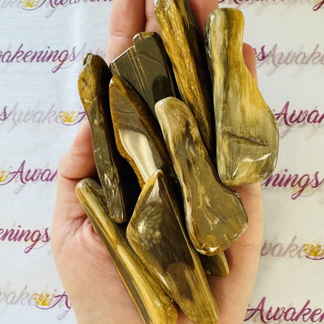 Petrified Wood Stick Wands - (2-4") Polished