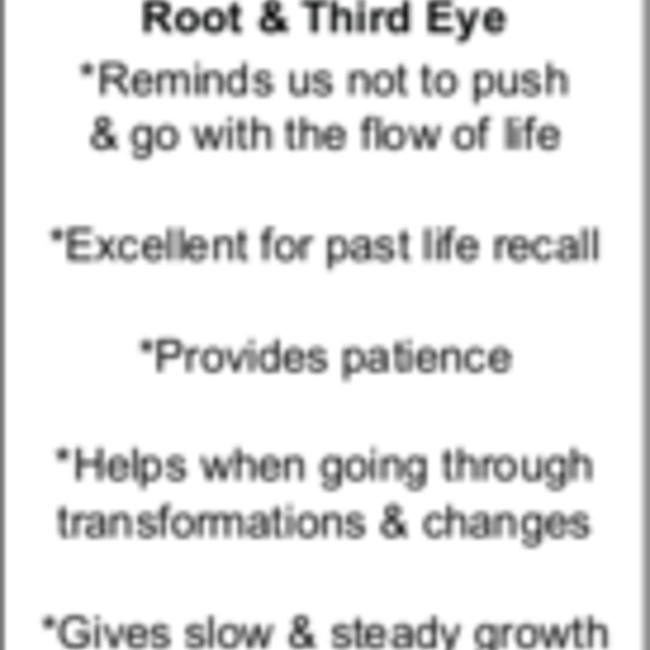 Petrified Wood Stick Wand - (2-4")