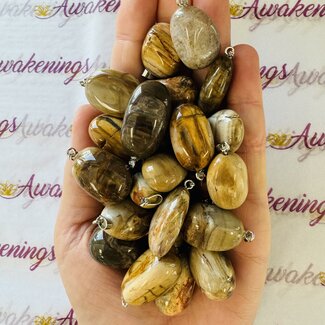 Petrified Wood Pendants - Tumbled