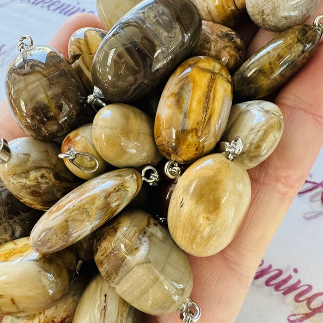 Petrified Wood Pendants - Tumbled