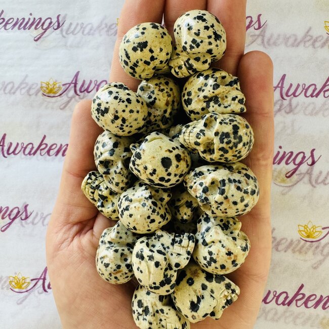 Dalmatian Jasper Skull-Mini