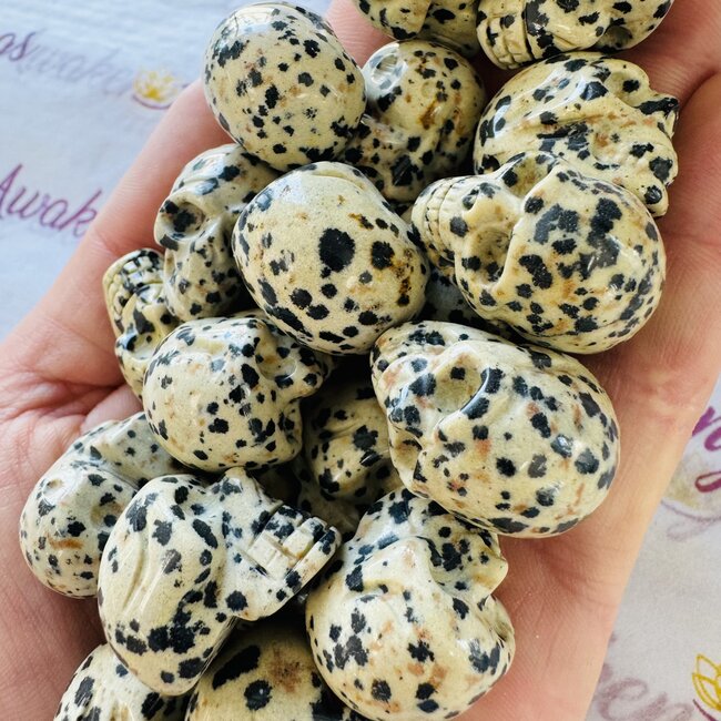 Dalmatian Jasper Skulls - Mini
