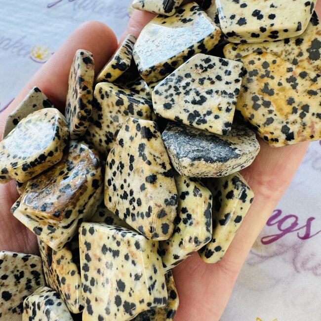 Dalmatian Jasper Slice - Mini Slab Flat