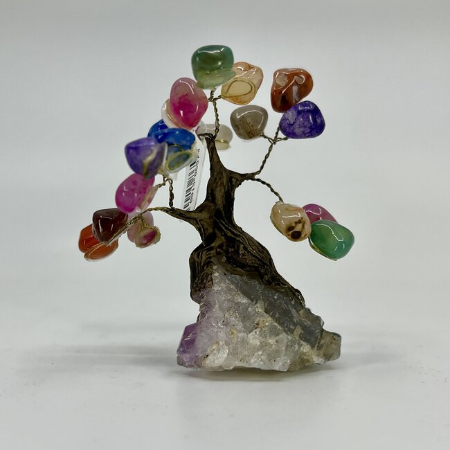 Assorted Agate (Dyed) Bonsai Tree on Amethyst - 3-4" Small