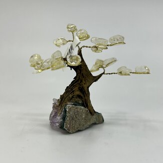 Citrine Bonsai Tree on Amethyst - 3-4" Small