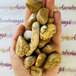 Zebradorite - Tumbled