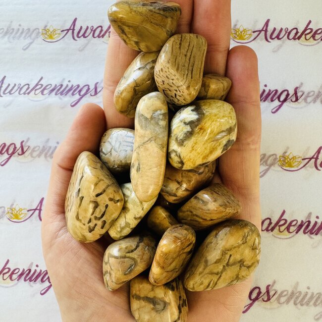 Zebradorite - Tumbled