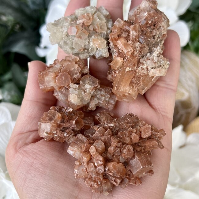 Star Aragonite Clusters - Large Rough Raw Natural