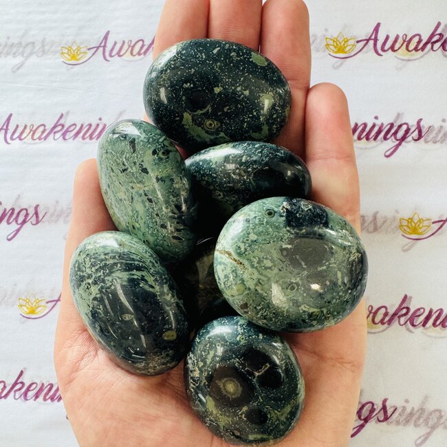 Crocodile (Kambaba) Jasper (Green Stromatolite) Palm Pillow Pocket Stone